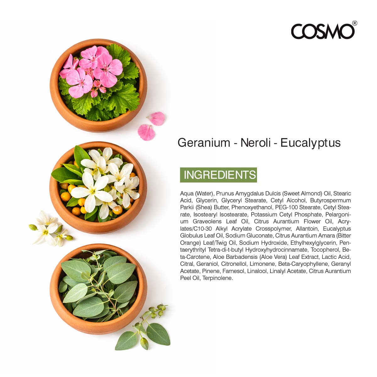 Geranium Concord Body Lotion